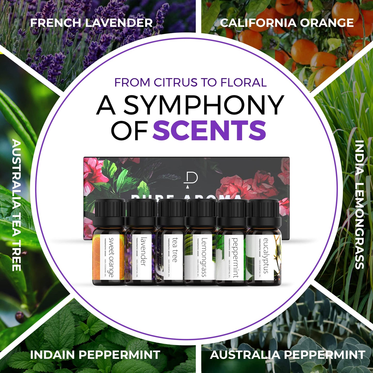 PURE AROMA Essential oils 100% Pure Therapeutic Grade Oils kit- Top 6 Aromatherapy Oils Gift Set-6 Pack, 10ML(Eucalyptus, Lavender, Lemon grass, Orange, Peppermint, Tea Tree)